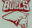 Belfast Bulls Logo