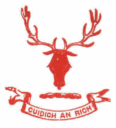Caberfeidh Shinty Logo