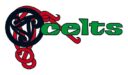 Dublin Celts Logo