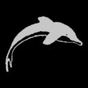 Moray Firth Dolphins Logo