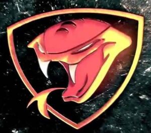 Donegal / Derry Vipers Logo