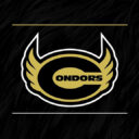 Condors LFA Logo