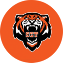 Guangzhou Tigers Logo