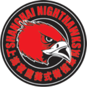 Shanghai Nighthawks Logo