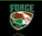 Fayetteville Force Logo