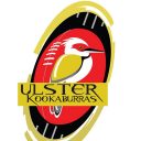 Ulster Kookaburras Logo
